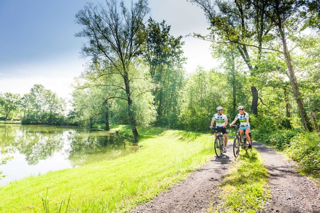 zwei Radfahrer fahren am Wasserufer im Grünen