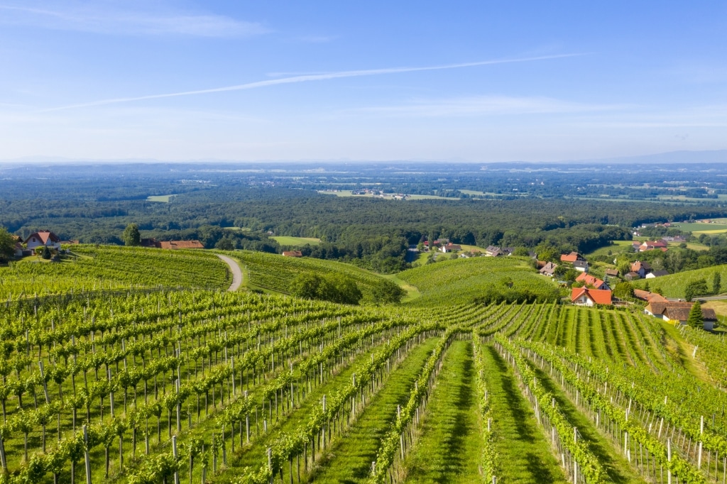 Weitblick über die Region rund um Bad Radkersburg